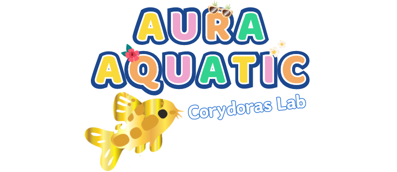 Aura Aquatic