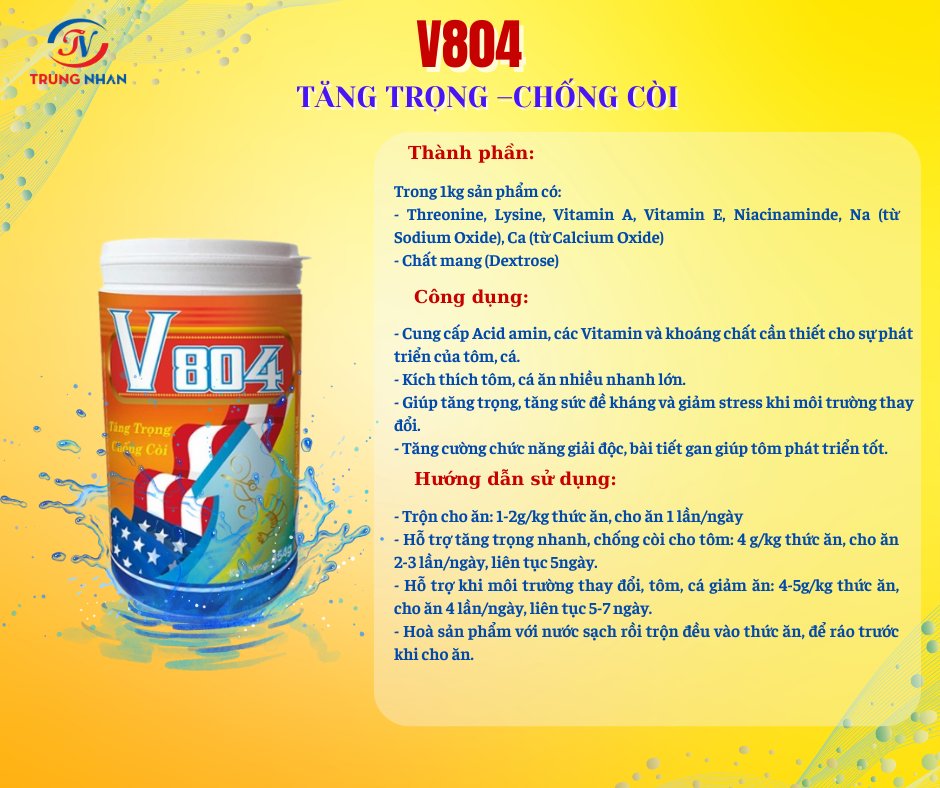 V804