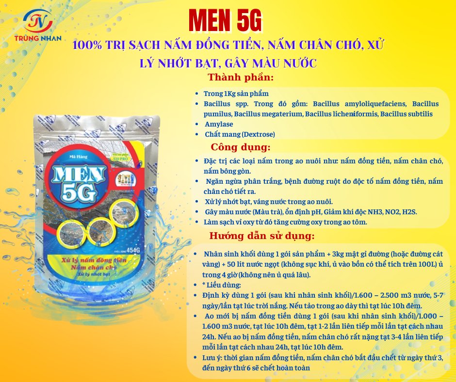 Men 5G