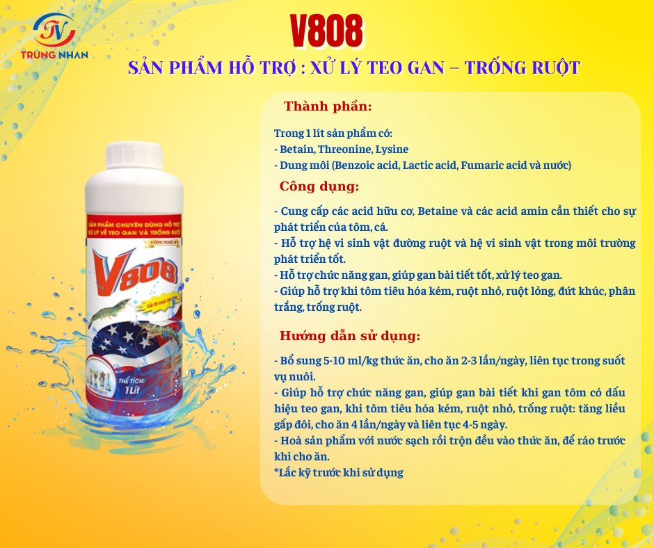 V808