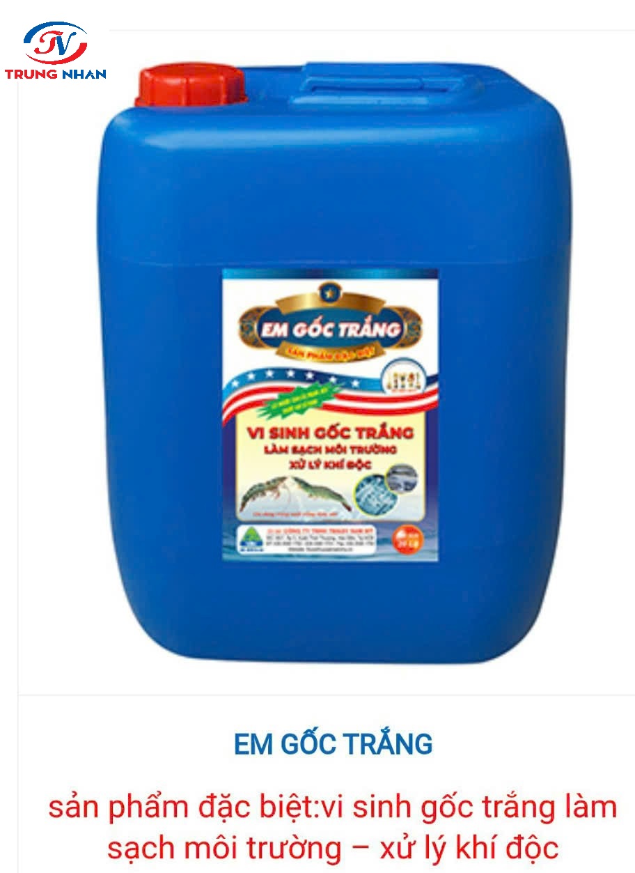 EM GỐC