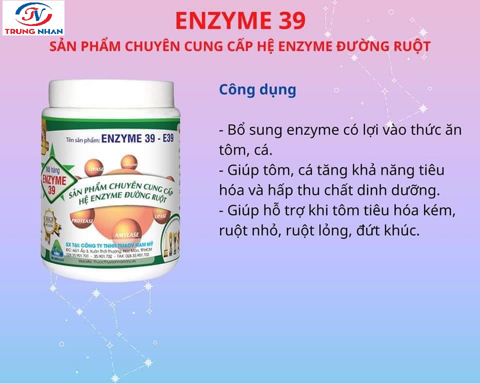 ENZYME 39