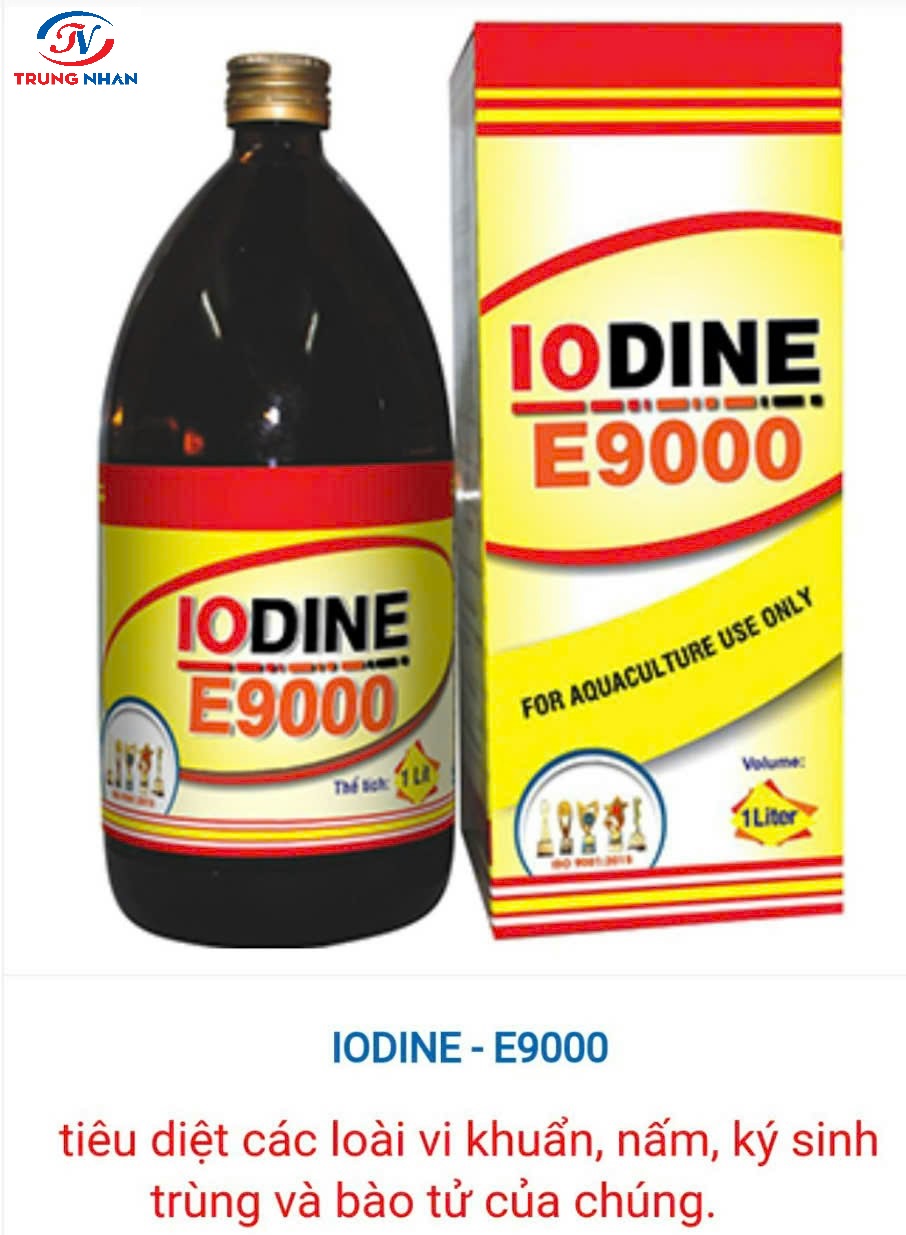 IODINE E9000