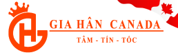 Dịch vụ vận hành kinh doanh quốc tế