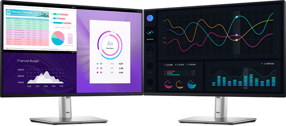 Màn Hình Dell P2425H (23.8 inch - FHD - IPS - 100Hz - 5ms - USB TypeC)