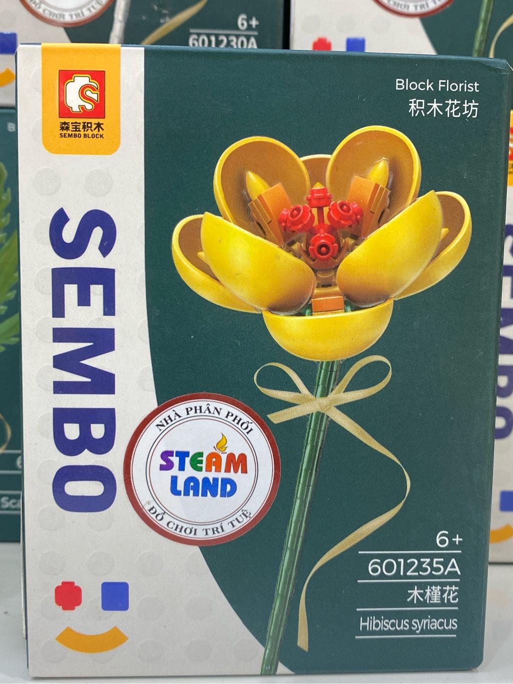 Hoa hồng Sharon Vàng-Sembo-601235A
