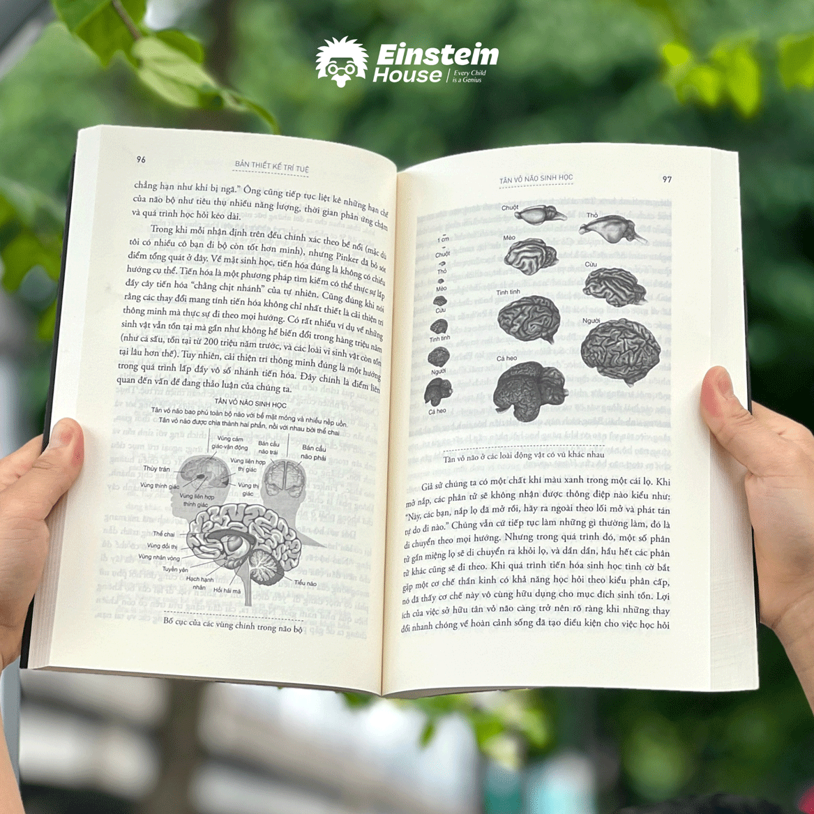 Bản thiết kế trí tuệ - Giải mã sự hình thành tư duy của con người, hiểu về trí tuệ nhân tạo & dự báo tương lai