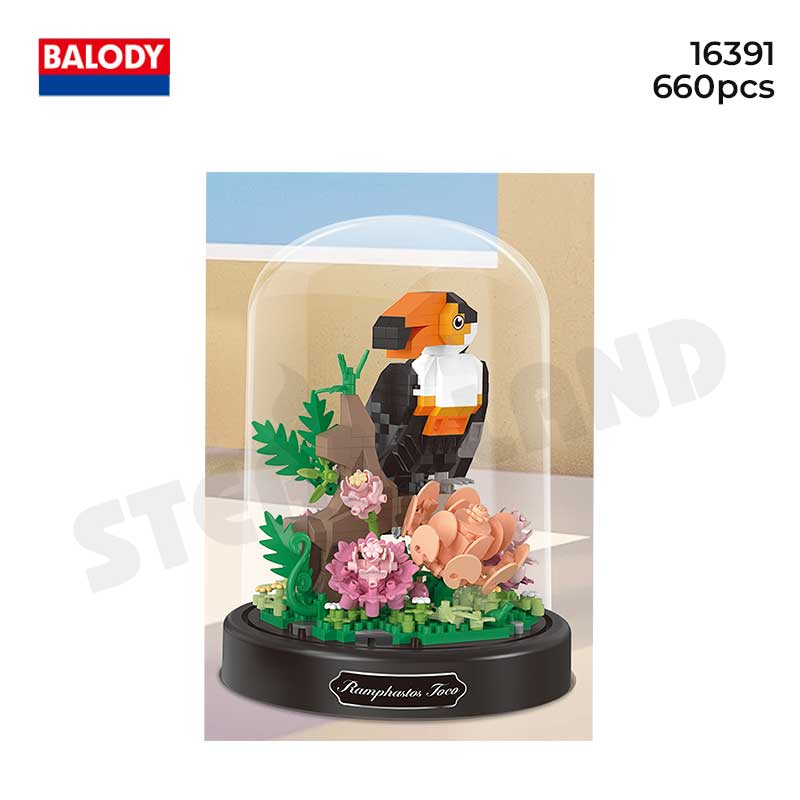 BALODY-16391 Đồ chơi lắp ráp có hộp mica chống bụi Chú chim Tucan cuồng nhiệt