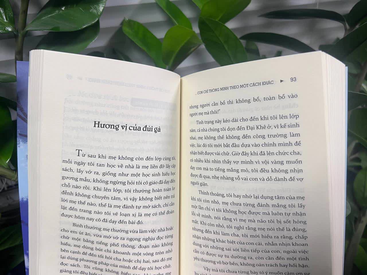 Sách Con Không Ngốc, Con Chỉ Thông Minh Theo Một Cách Khác