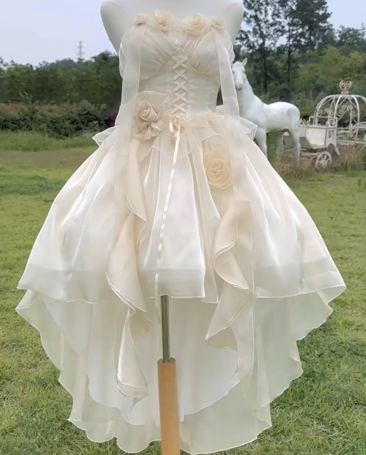 Moonlight Ballet X Wishing star