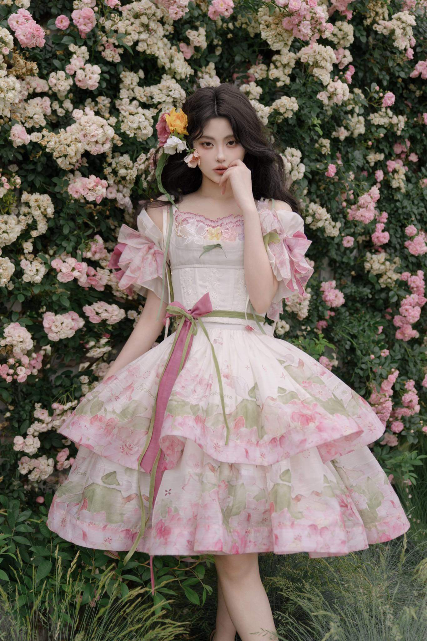 ( Stop selling ) Alpine rhododendron X Kiss Deer Lolita