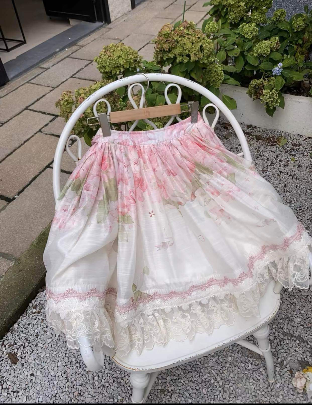 ( Stop selling ) Alpine rhododendron X Kiss Deer Lolita