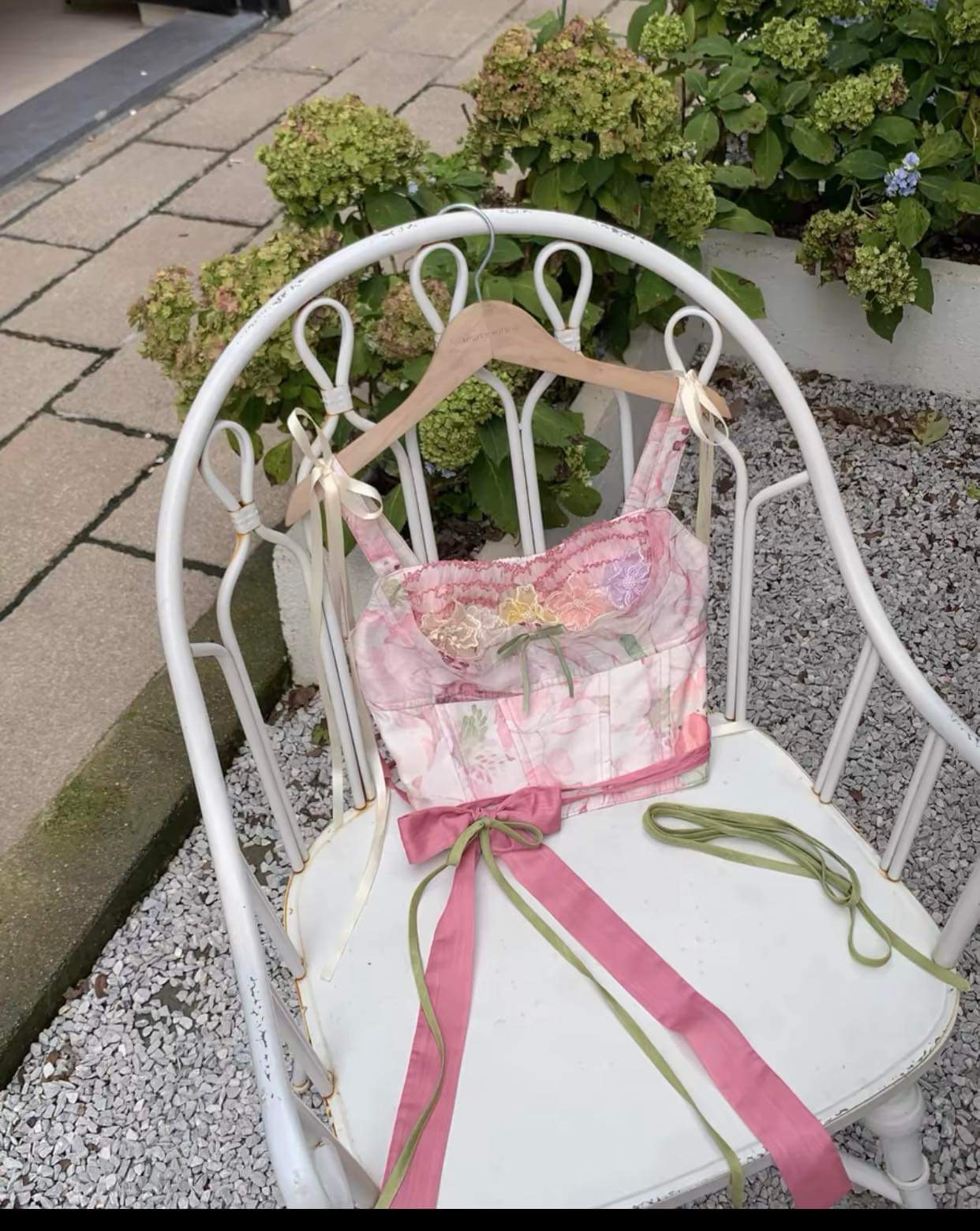 ( Stop selling ) Alpine rhododendron X Kiss Deer Lolita