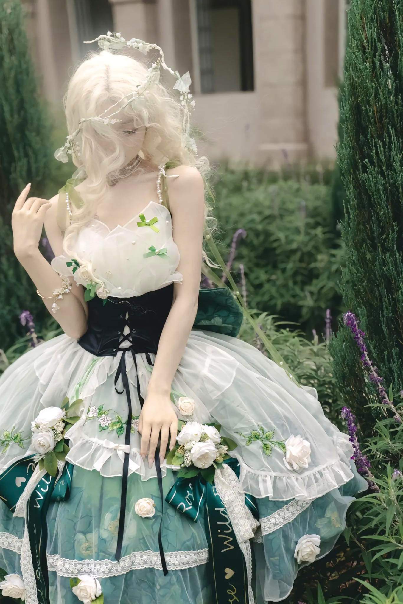 (  Stop selling) Van Gogh Wild Rose X Signorina