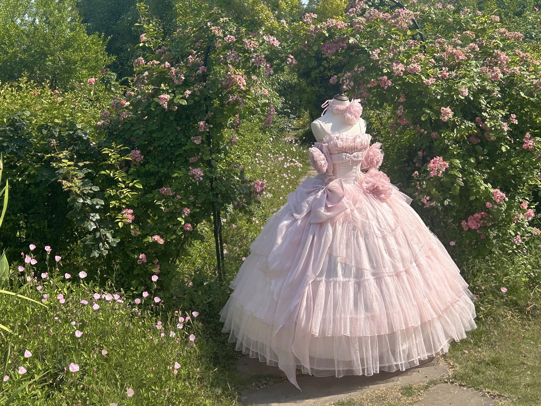 ( Pre Order) Gift of the stars by Star Rites ( Pink Version )