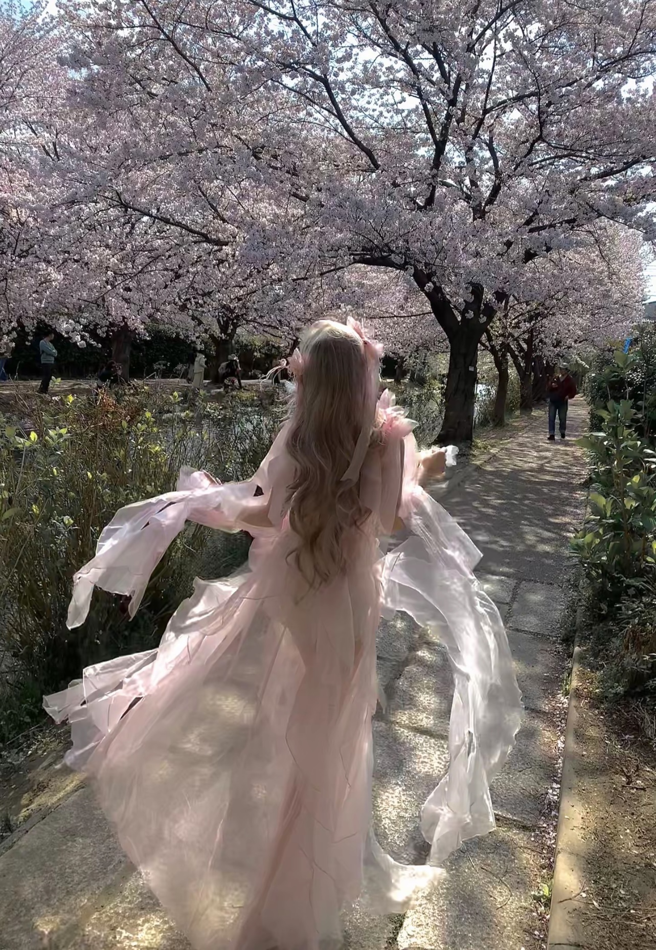 ( Pre Order ) Princess Sakura by Shirneyz