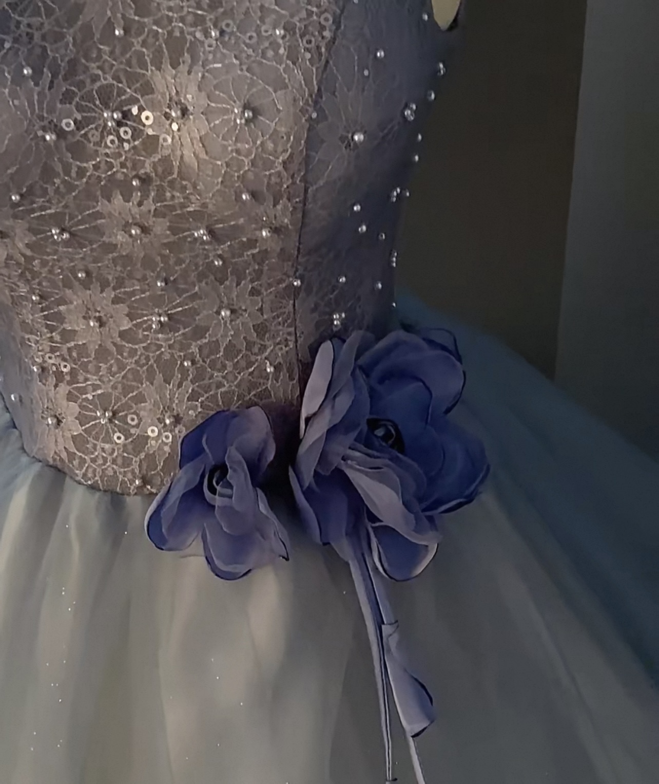 Evening, Prom, Party Dress P925