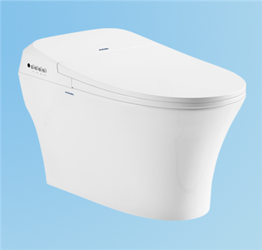 BỒN CẦU THÔNG MINH W9