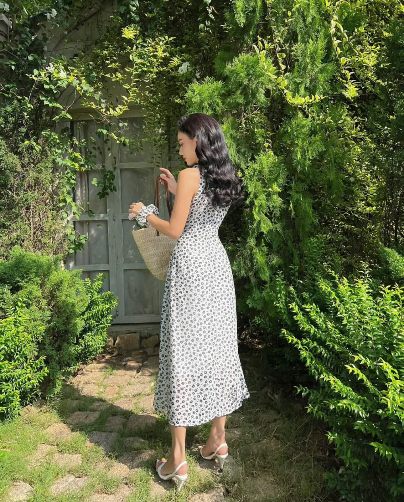 Váy Cổ Yếm Thương Hiệu COLUS