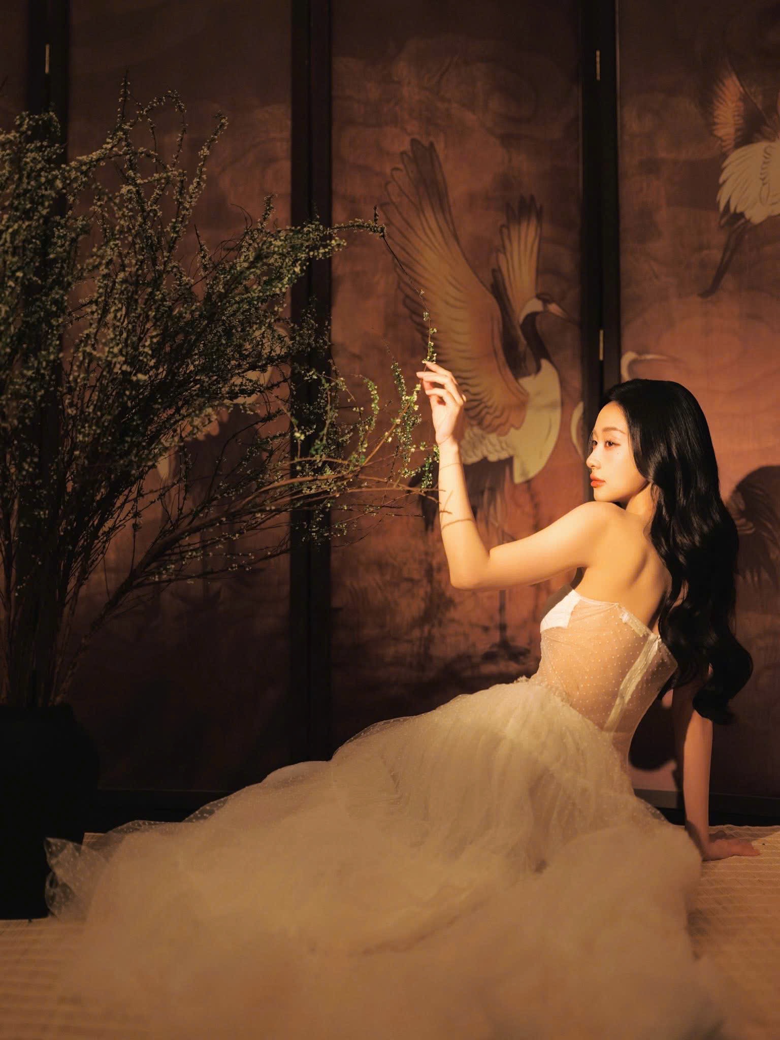 Đầm thương hiệu AMELIE