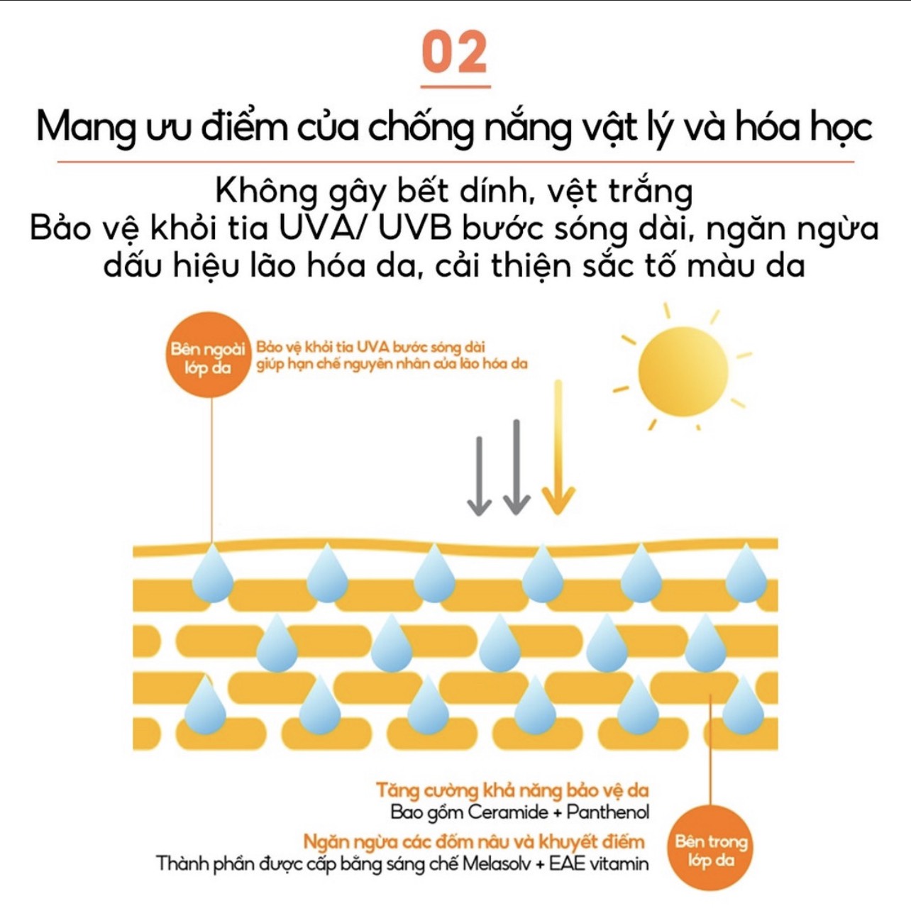 Kem chống nắng Laneige Radian-C Sun Cream SPF 50+ PA++++ 50ML