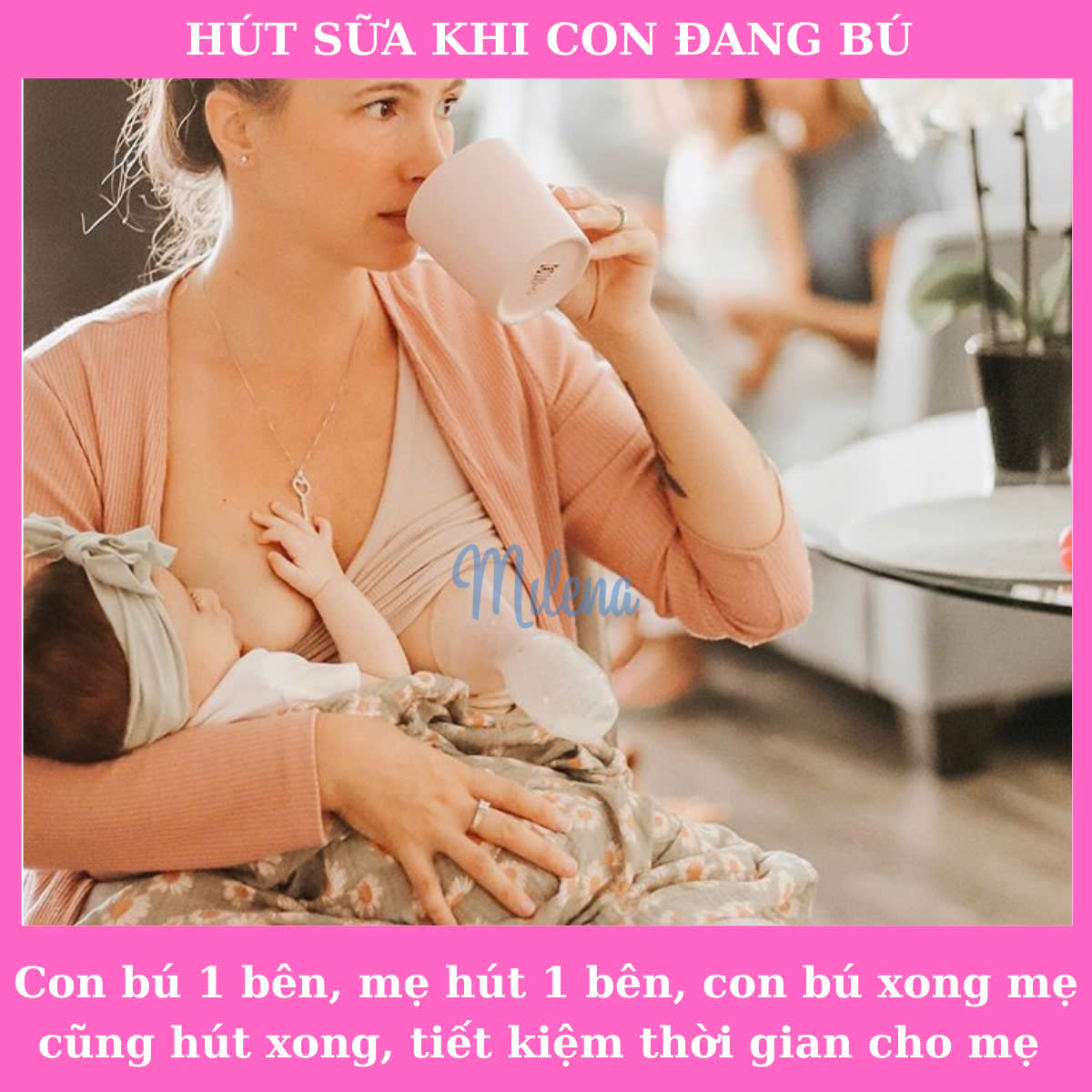 Cốc Hứng Sữa Naturebond Số 1 Anh, Mỹ và Canada