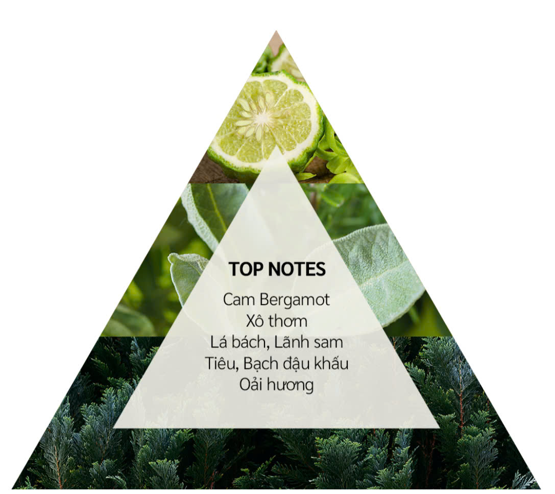 Nước hoa Jillian: Dark fiction (EDP) 50ml
