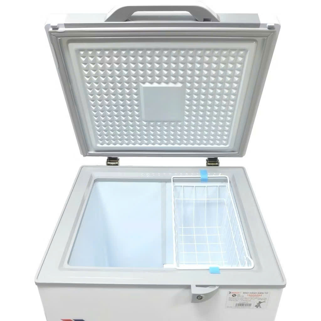 Tủ đông Sanaky 100 lít