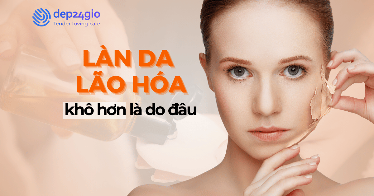 Làn da lão hóa khô hơn là do đâu