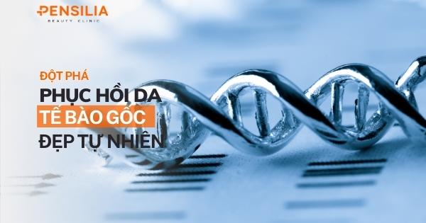 Trẻ Hóa Da Với Tế Bào Gốc Phục Hồi Da Đột Phá