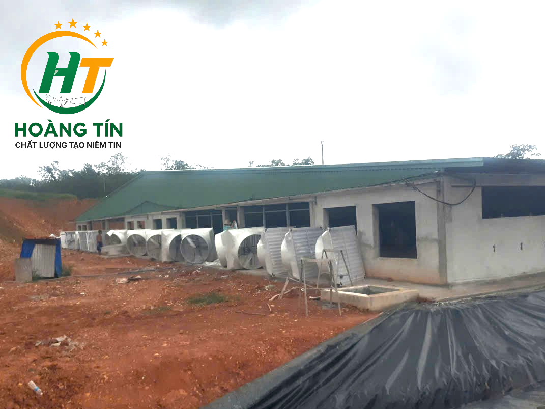Bàn Giao Và Lắp Đặt Quạt Composite Cho Trại Heo Bù Đăng – Giải Pháp Thông Gió Hiệu Quả Từ Chăn Nuôi Hoàng Tín