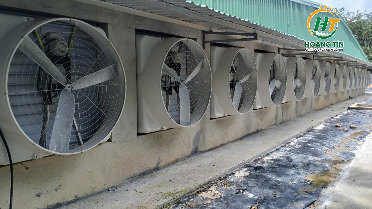 Hoàn Thành Lắp Đặt Quạt Hút Composite 146 Cho Trang Trại Heo Tại Bình Phước