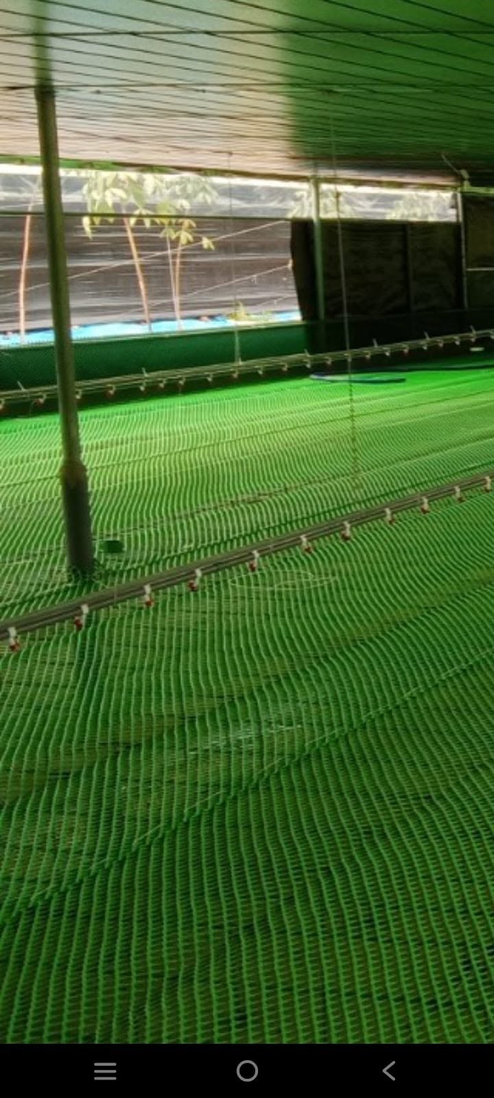 Cách Kéo Lưới Sàn Trại Vịt Thẳng Đúng Kỹ Thuật – Giải Pháp Giúp Sàn Bền, Không Võng