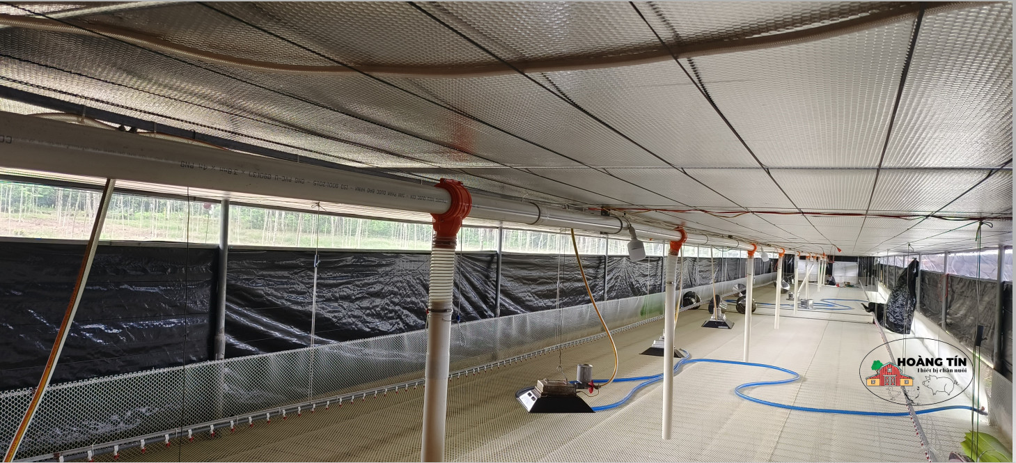 BÀN GIAO TRẠI VỊT TRÊN SÀN LẠNH CHO CHỦ TRẠI PHƯỚC SANG PHÚ GIÁO