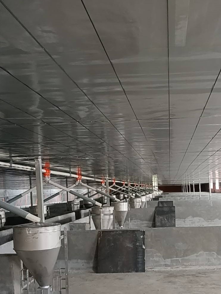 🐷 LÊN FULL THIẾT BỊ TRẠI HEO LẠNH - LỰA CHỌN THIẾT BỊ TRẠI HEO HIỆN ĐẠI