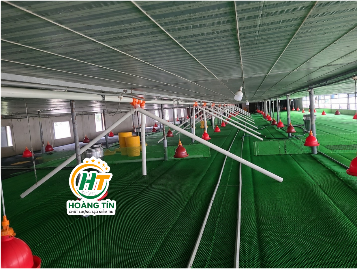 Chuyển Từ Đẩy Xe Cám Đường Ray Sang Đường Ăn Tự Động – Giải Pháp Nâng Cao Hiệu Quả Chăn Nuôi