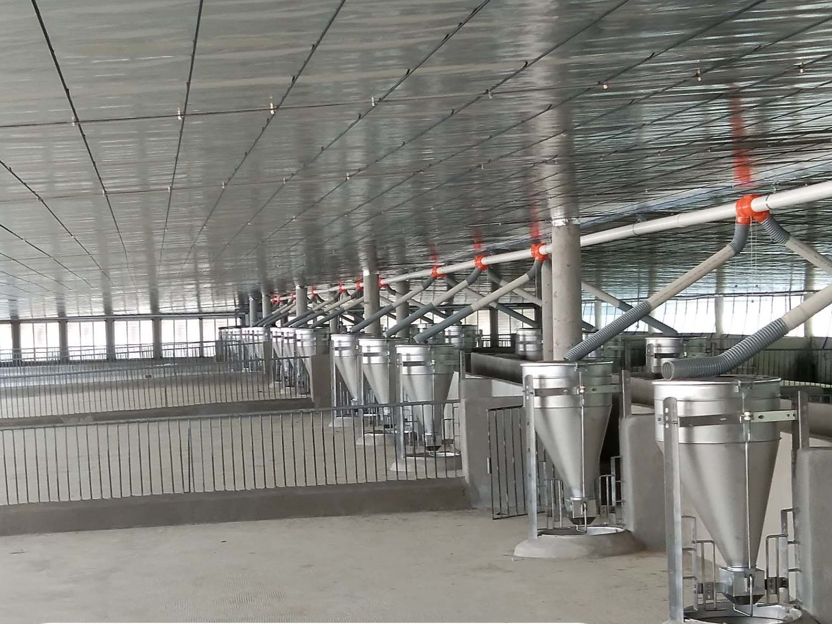 Máng ăn lệch tâm cho heo lên trại