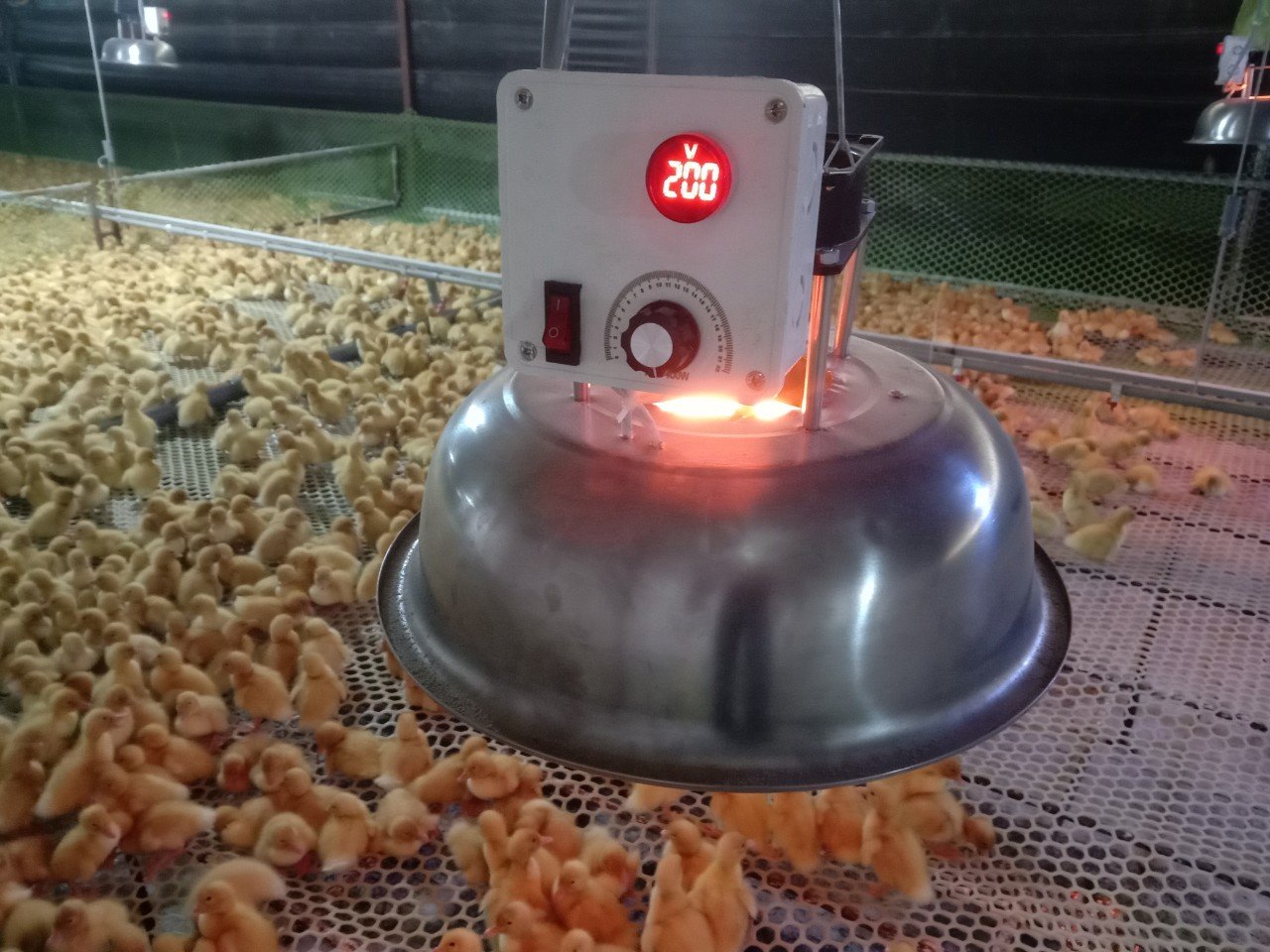 Đèn úm điện