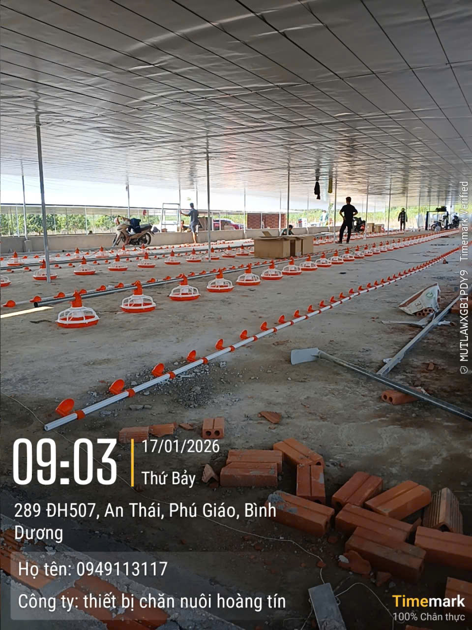 Đường ăn và đường uống tự động trại gà 120m