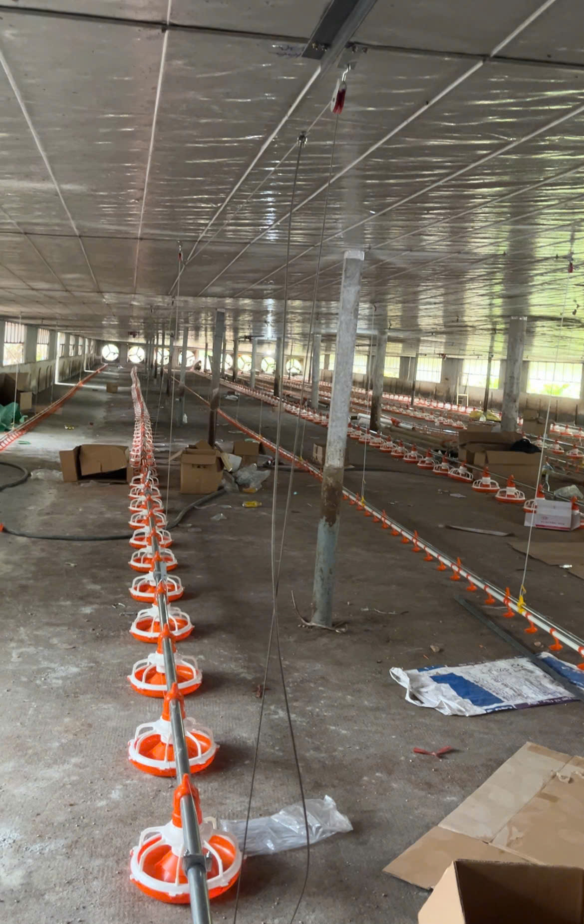 Chuyển Đổi Từ Trại Heo Sang Trại Gà Tự Động – Quy Trình Thực Tế Từ A Đến Z