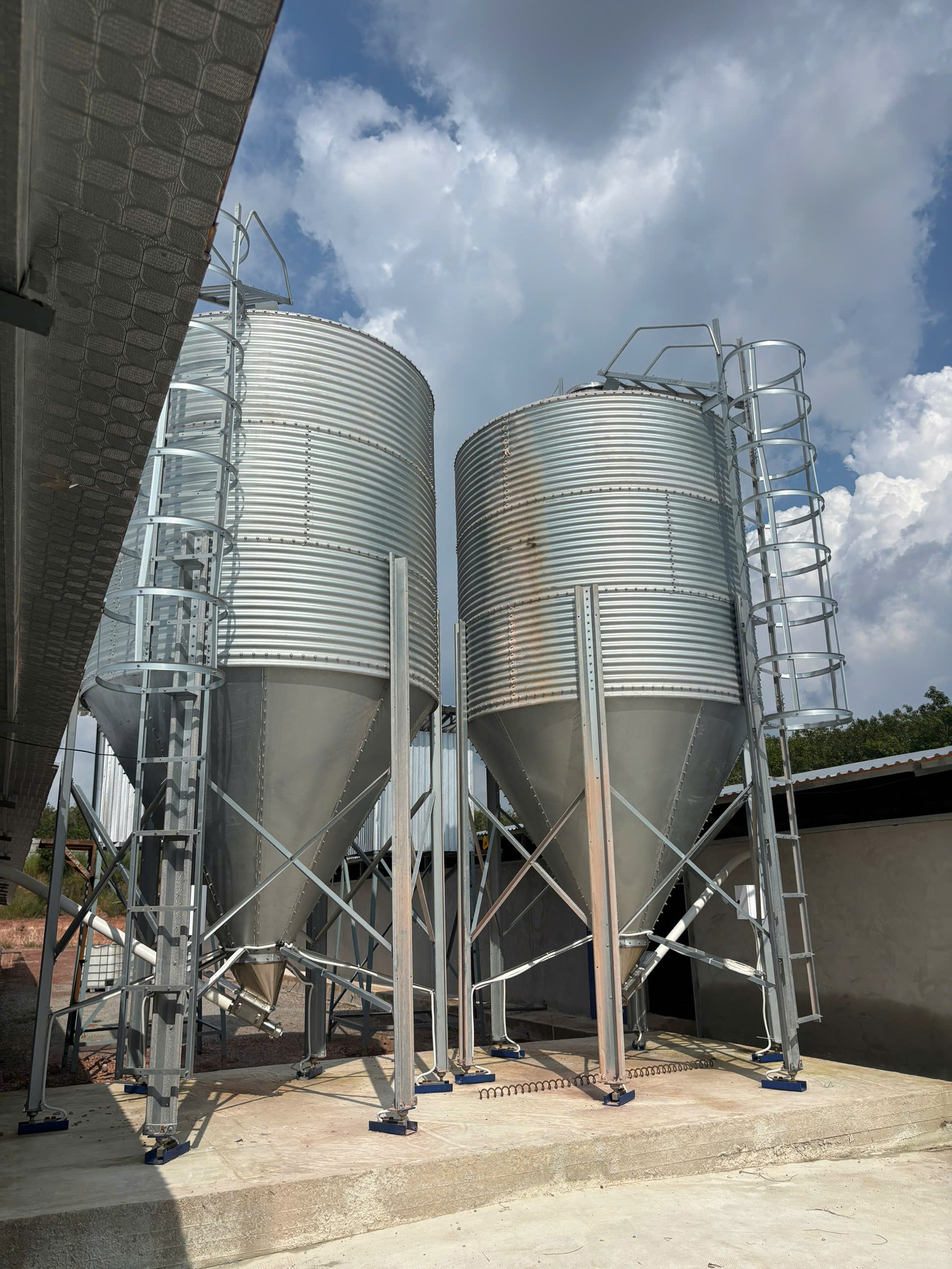 BỒN SILO CHỨA CÁM 14 TẤN TÔN MẠ KẼM CẤP CÁM TỰ ĐỘNG CHO TRANG TRẠI HEO GÀ VỊT