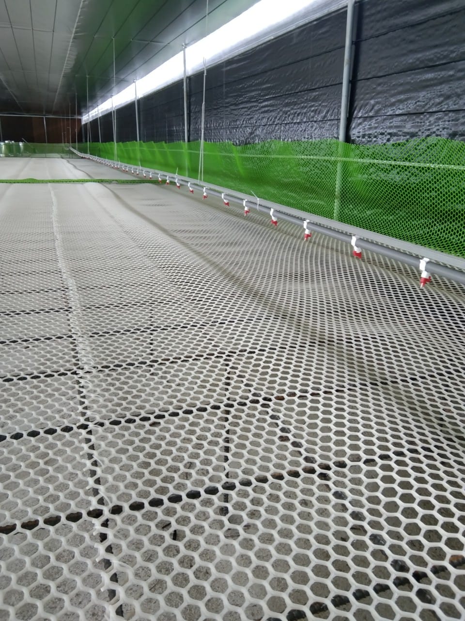 BỊCH 100 Núm uống cho vịt ngan loại tròn dùng cho ống PVC phi 27