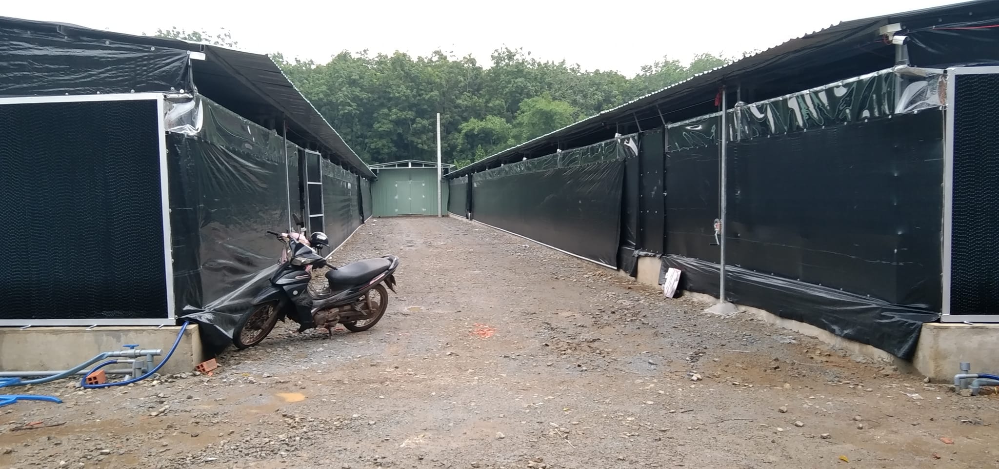 BẠT GIA LỢI U 9 , KHỔ 2 M X 100M