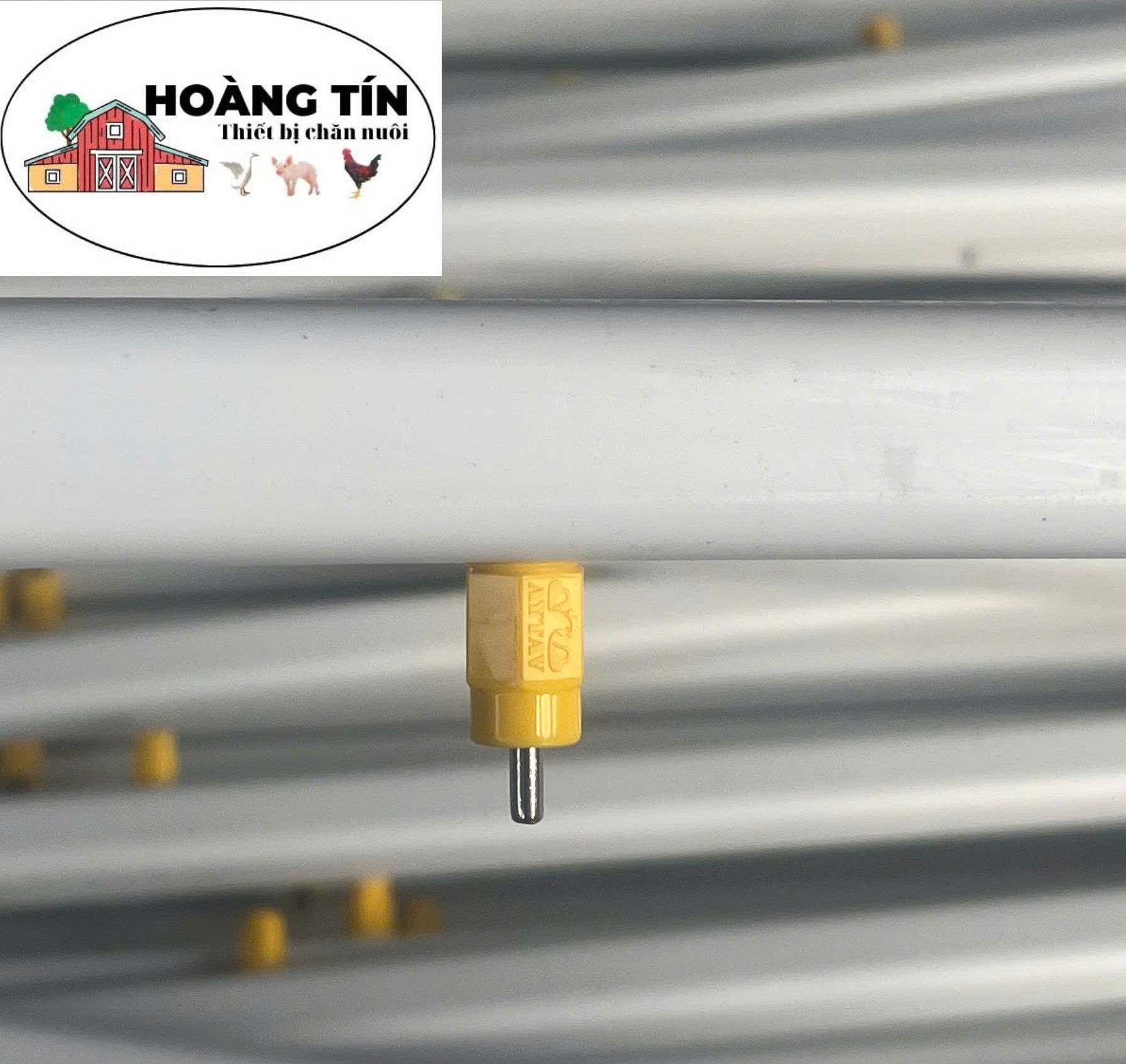 Núm gà tự động AYTAV loại nhỏ SX Thổ Nhĩ Kỳ