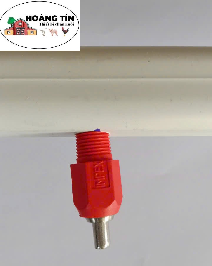 Núm gà tự động, Ti uống tự động cho gà nhập khẩu Hà Lan, ti K