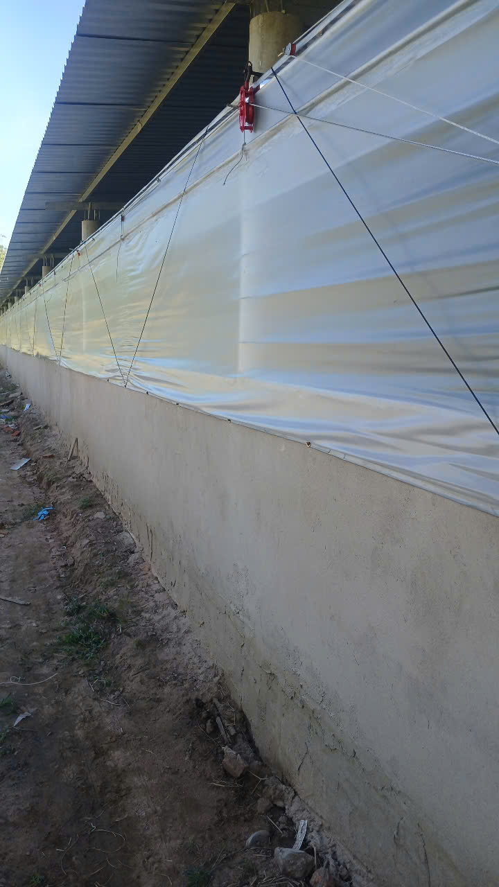 Bạt thái trắng đục dùng căng hông che nắng và lấy sáng cho trang trại 1.8x100m hoặc 2x100M