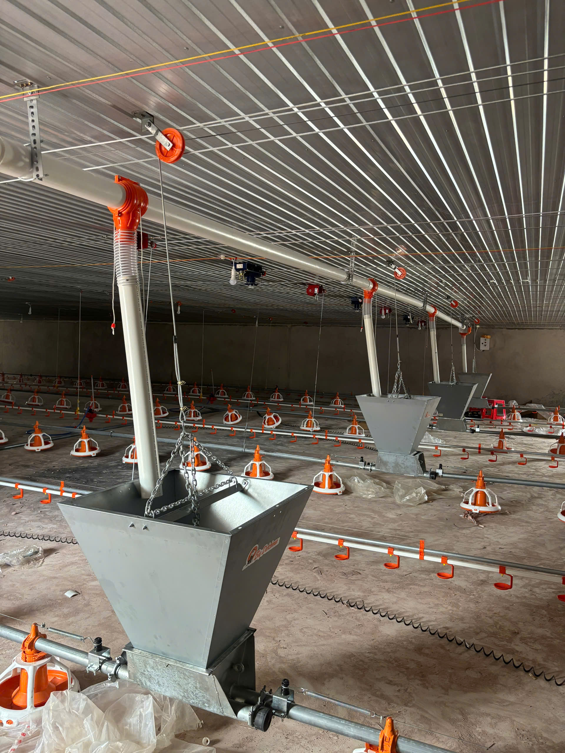 ĐƯỜNG TRUNG CHUYỂN CÁM TỪ BỒN SILO VÀ BÊN TRONG TRẠI GÀ DÀI 19M