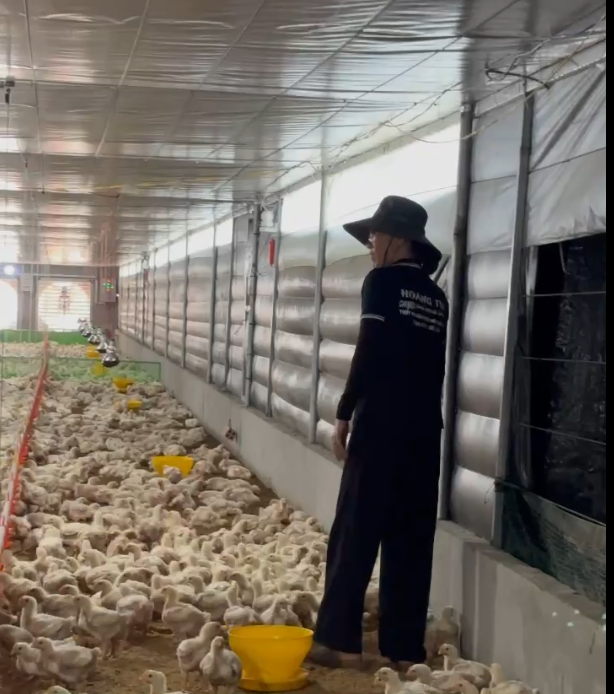 Bạt hông Thái đen dùng để che nắng cho trang trại đồ bền cực cao 2x100m hoặc 1.8x100m