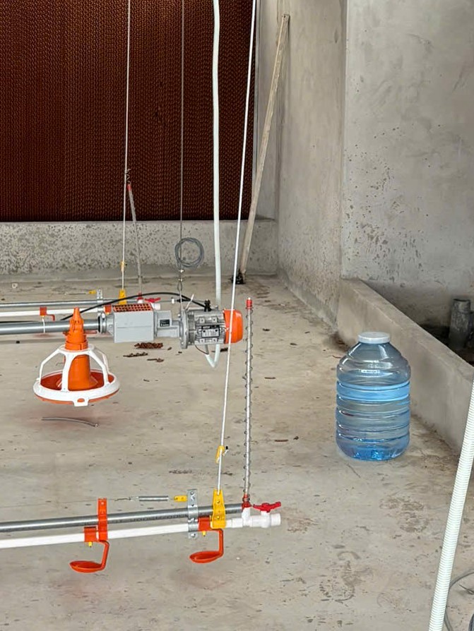 Bộ Xả Cuối Tuyến Đường Uống Tự Động Cho Gà Dạng Núm Uống