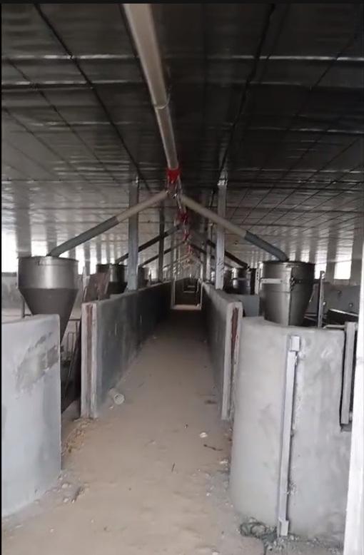 HỆ THỐNG ĐƯỜNG ĂN THẲNG DÀI 120M 2 ĐỘNG CƠ CÓ TRUNG CHUYỂN TRẠI HEO 17X90M TÂY NINH